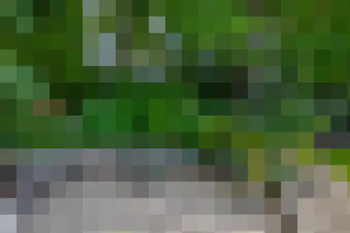 Cicerolaan 1 Venlo thumbnail 39
