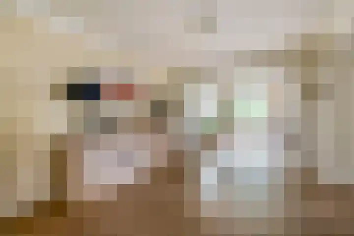 Cicerolaan 1 Venlo thumbnail 7