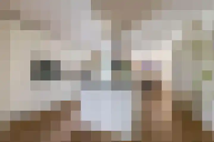 Cicerolaan 1 Venlo thumbnail 8