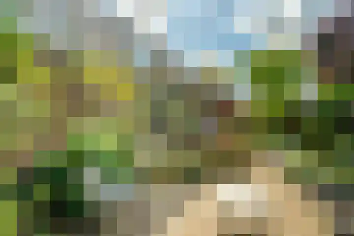 Cicerolaan 10 Utrecht thumbnail 38