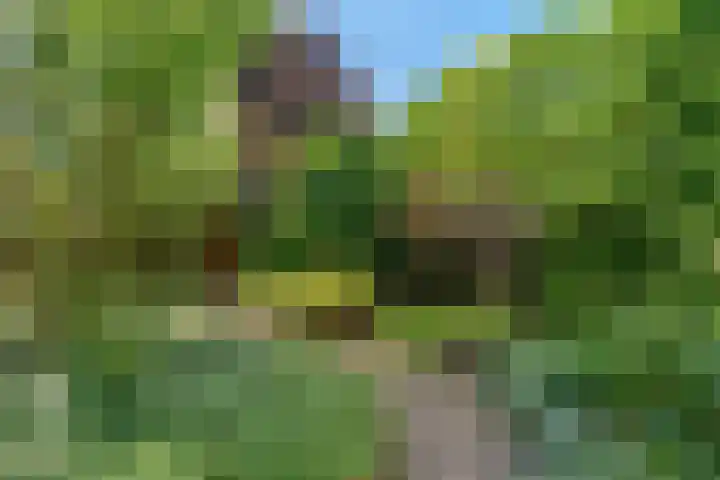 Cicerolaan 10 Utrecht thumbnail 41