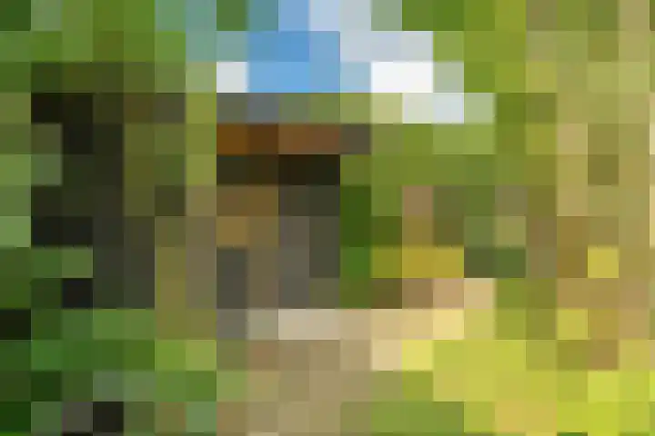 Cicerolaan 10 Utrecht thumbnail 42