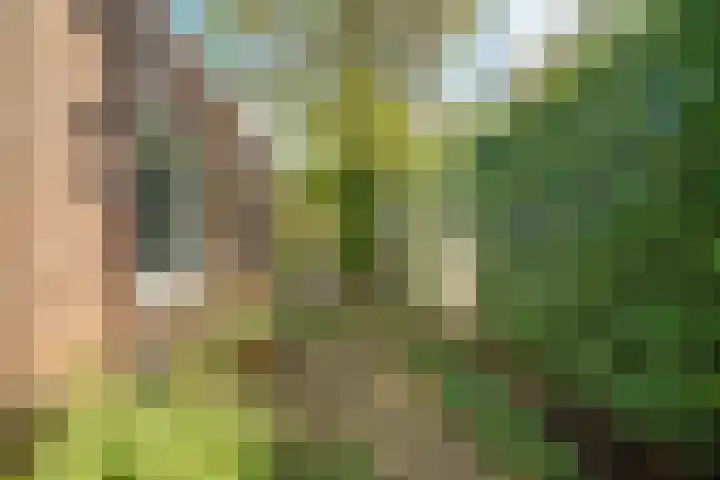Cicerolaan 10 Utrecht thumbnail 43