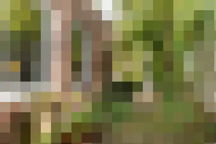 Cicerolaan 10 Utrecht thumbnail 44