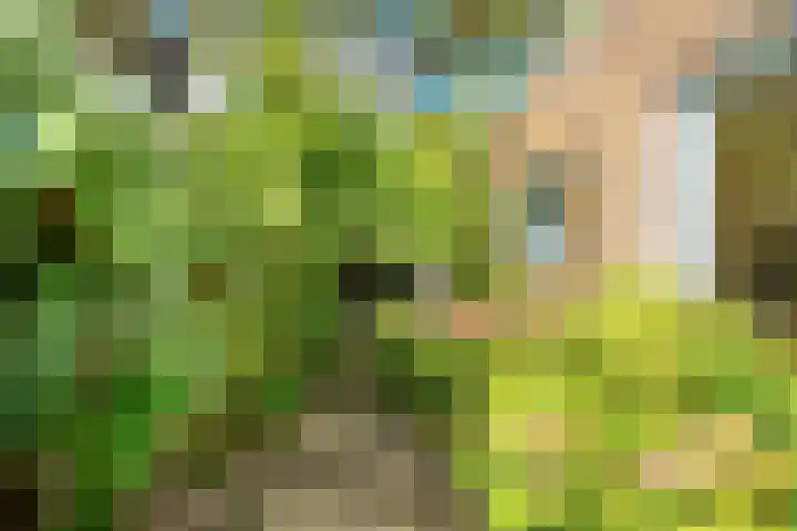 Cicerolaan 10 Utrecht thumbnail 45