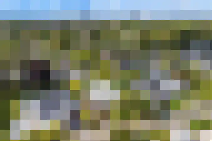 Cicerolaan 10 Utrecht thumbnail 48