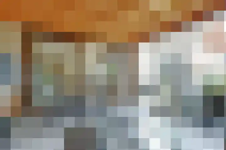 Cichorei 14 Hoogvliet Rotterdam thumbnail 11