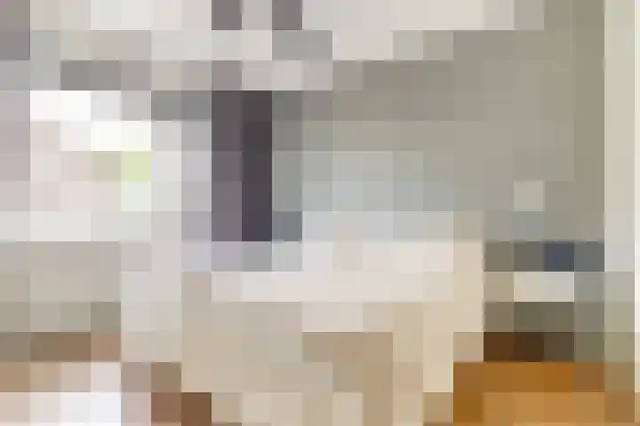 Cichorei 14 Hoogvliet Rotterdam thumbnail 14