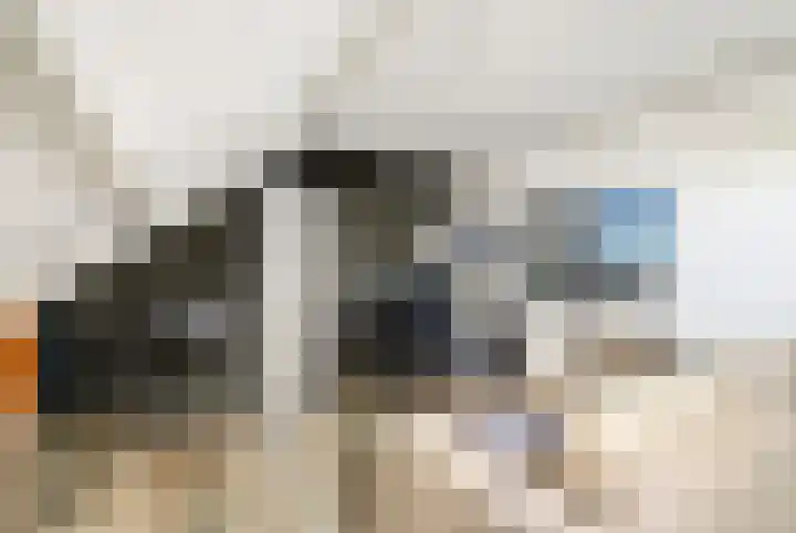 Cichorei 14 Hoogvliet Rotterdam thumbnail 21