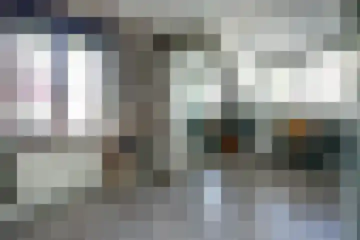 Cichorei 16 Hoogvliet Rotterdam thumbnail 15