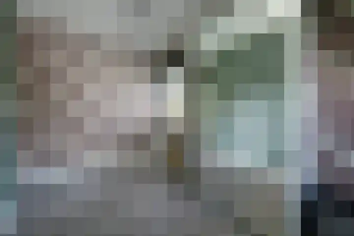 Cichorei 16 Hoogvliet Rotterdam thumbnail 16