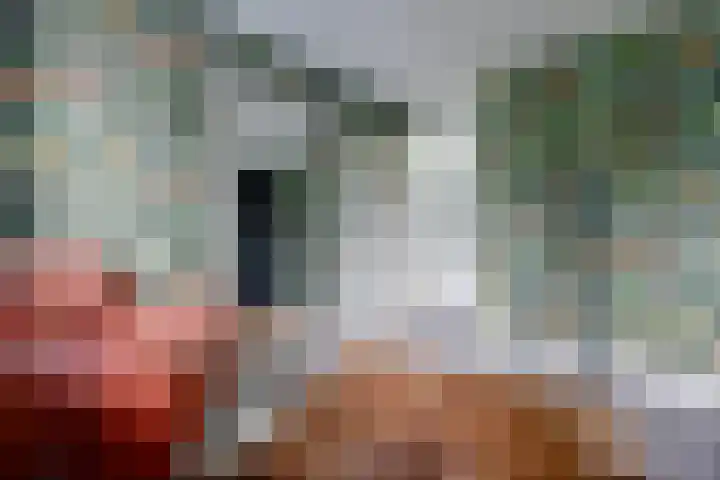 Cichorei 16 Hoogvliet Rotterdam thumbnail 18