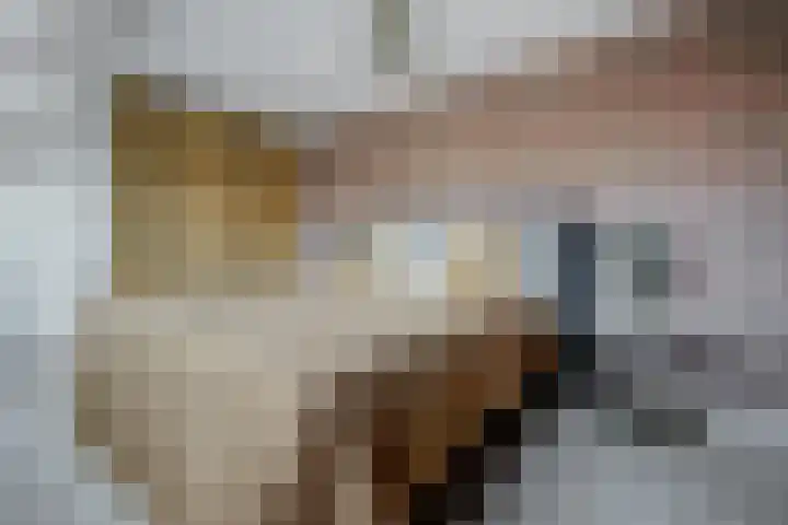 Cichorei 16 Hoogvliet Rotterdam thumbnail 30