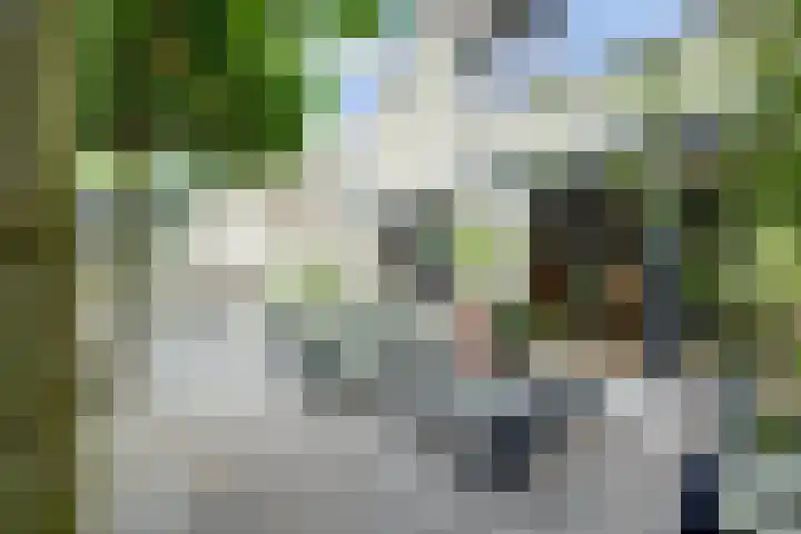 Cichorei 16 Hoogvliet Rotterdam thumbnail 33