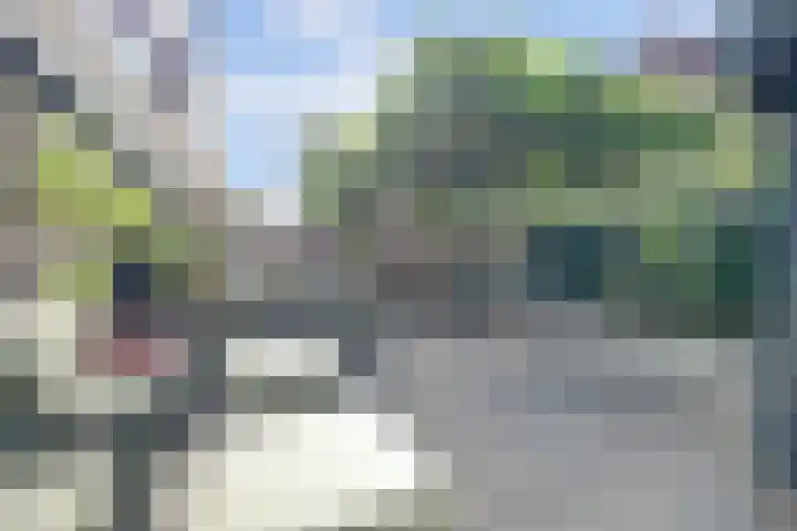 Cichorei 16 Hoogvliet Rotterdam thumbnail 38