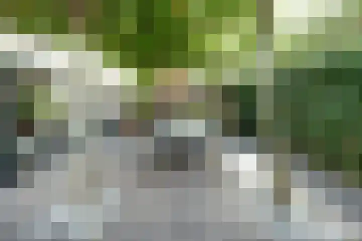 Cichorei 16 Hoogvliet Rotterdam thumbnail 39