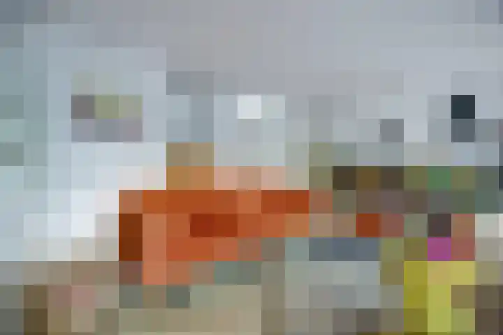 Cichorei 16 Hoogvliet Rotterdam thumbnail 5