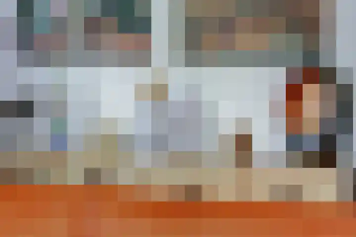 Cichorei 16 Hoogvliet Rotterdam thumbnail 6