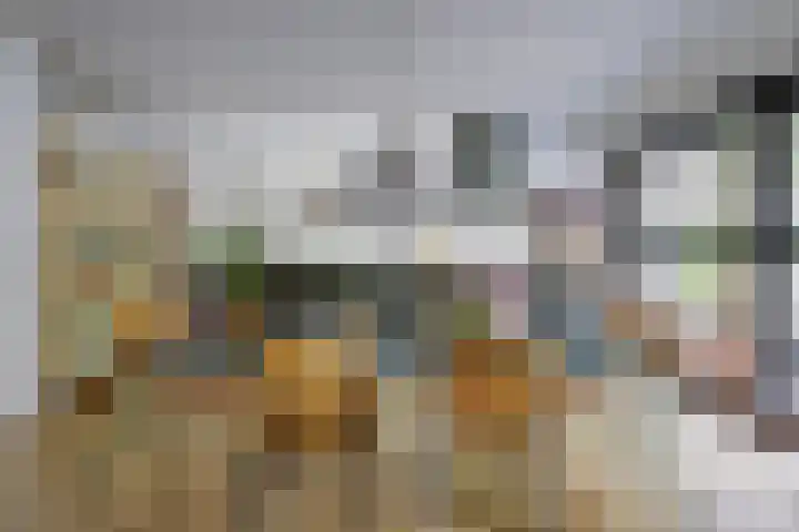 Cichorei 16 Hoogvliet Rotterdam thumbnail 7