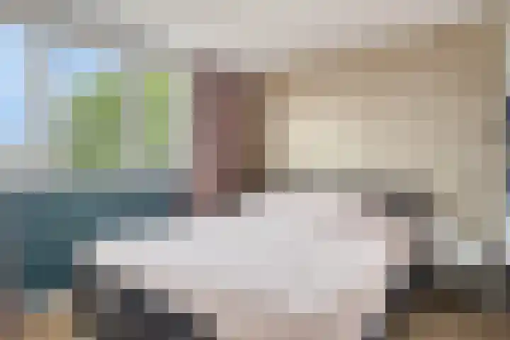 Cichoreilaan 1 Ouddorp thumbnail 14