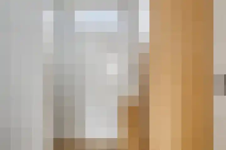 Cichoreilaan 1 Ouddorp thumbnail 16