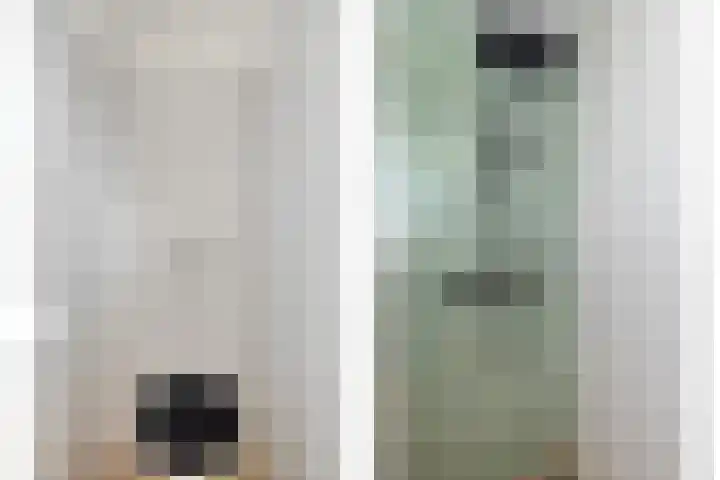 Cichoreilaan 1 Ouddorp thumbnail 17