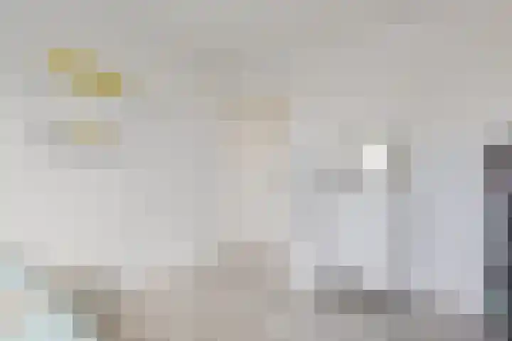 Cichoreilaan 1 Ouddorp thumbnail 19