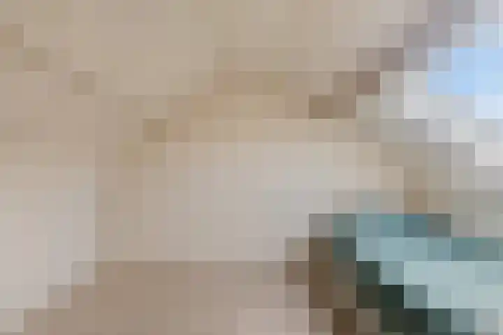 Cichoreilaan 1 Ouddorp thumbnail 23