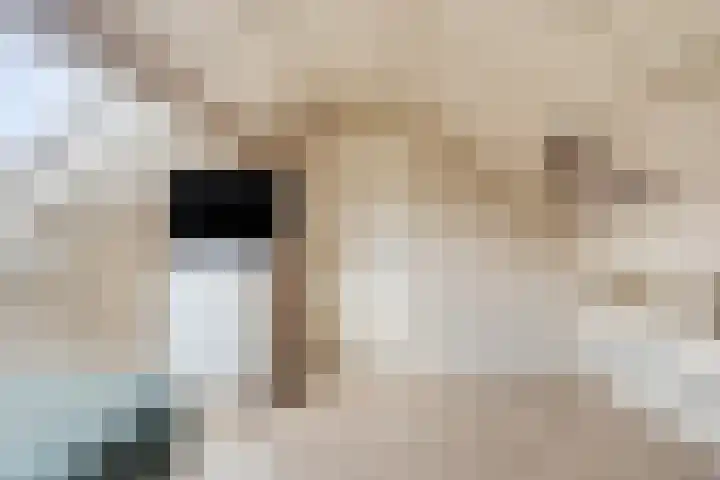 Cichoreilaan 1 Ouddorp thumbnail 24