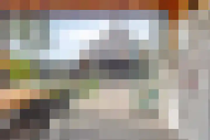 Cichoreilaan 1 Ouddorp thumbnail 25