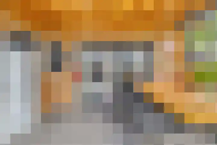 Cichoreilaan 1 Ouddorp thumbnail 26