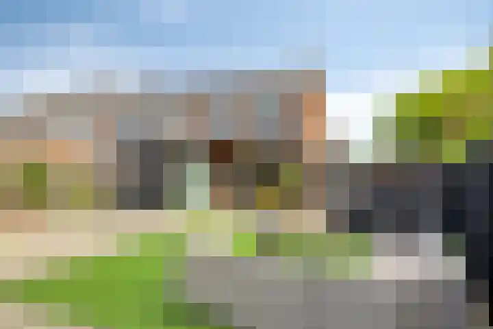 Cichoreilaan 1 Ouddorp thumbnail 27
