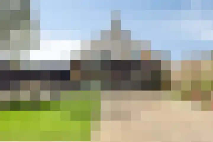 Cichoreilaan 1 Ouddorp thumbnail 28
