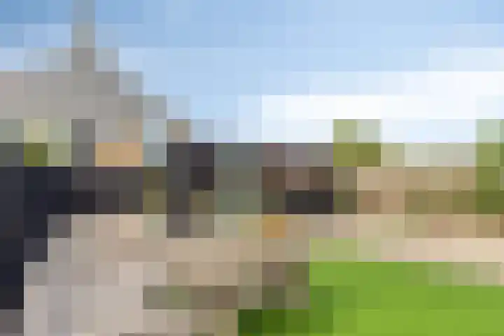 Cichoreilaan 1 Ouddorp thumbnail 29