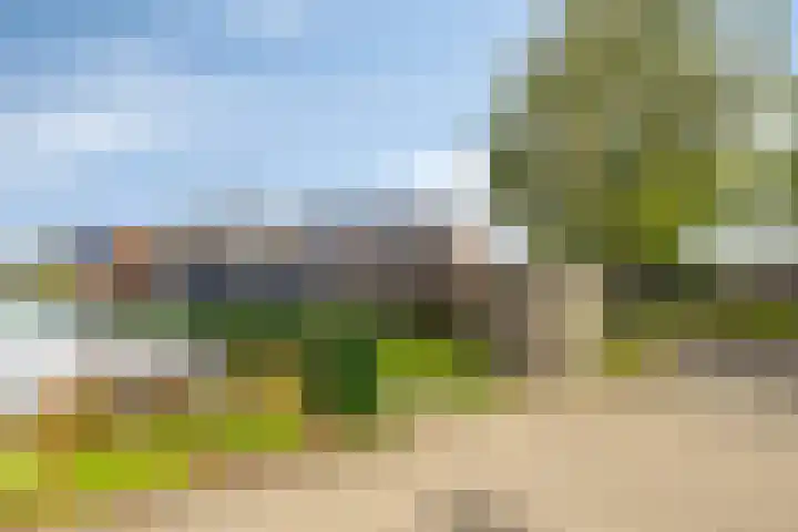 Cichoreilaan 1 Ouddorp thumbnail 30