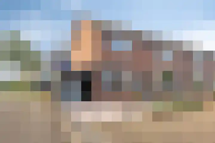 Cichoreilaan 1 Ouddorp thumbnail 33