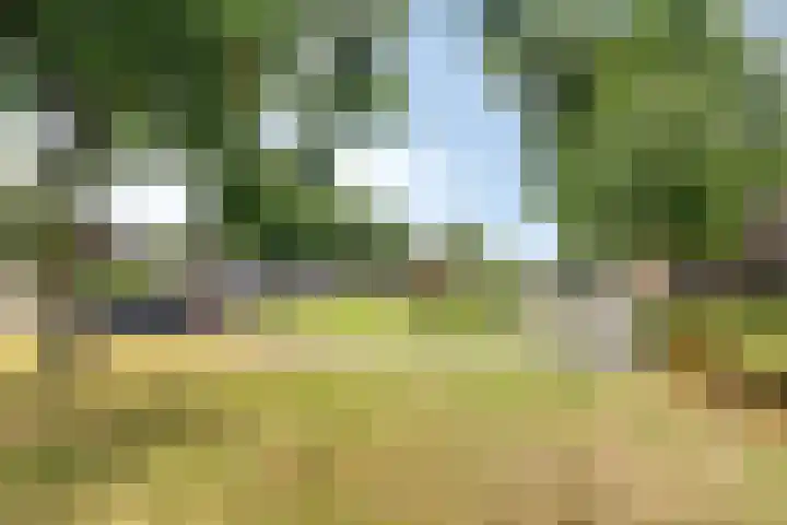 Cichoreilaan 1 Ouddorp thumbnail 34