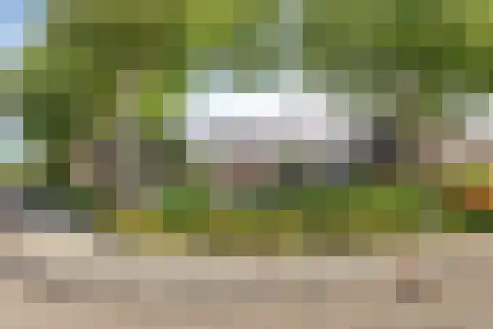 Cichoreilaan 1 Ouddorp thumbnail 36