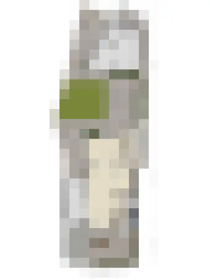 Cichoreilaan 1 Ouddorp thumbnail 38