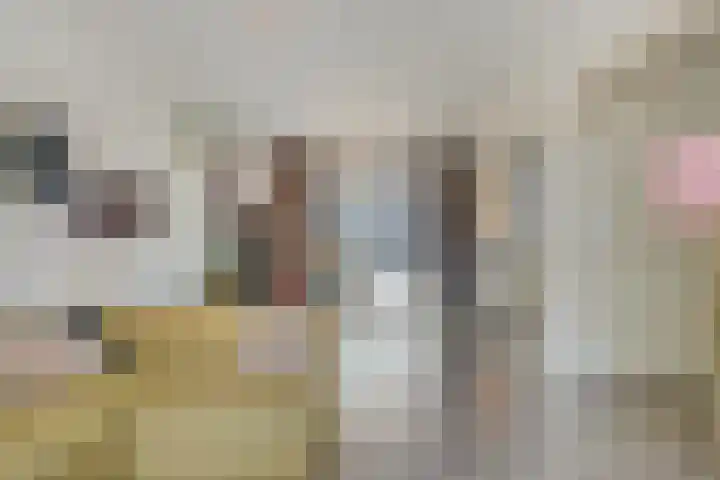 Cichoreilaan 1 Ouddorp thumbnail 5