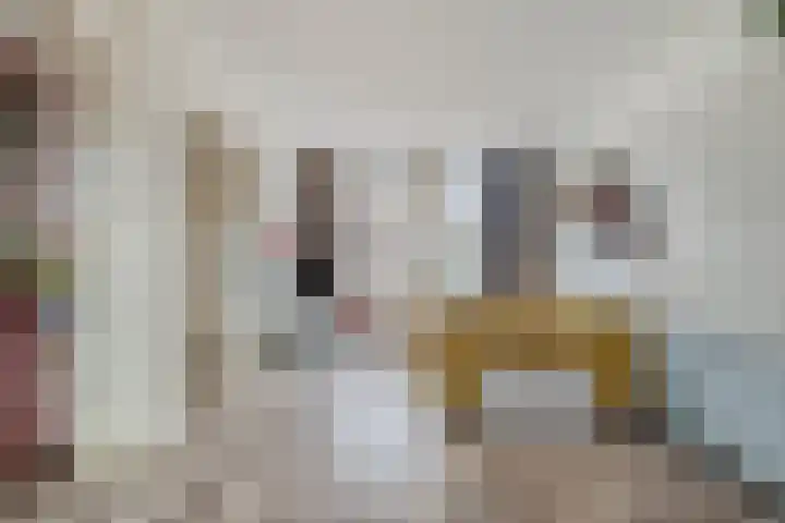 Cichoreilaan 1 Ouddorp thumbnail 6