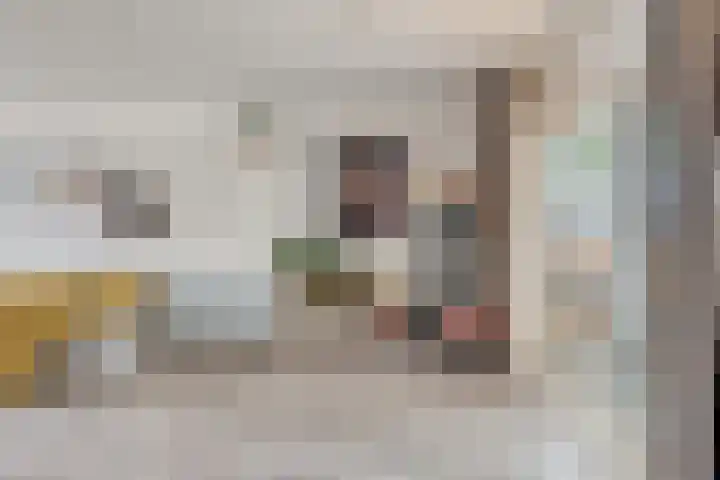 Cichoreilaan 1 Ouddorp thumbnail 8