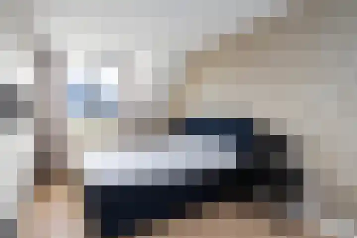Cichoreimolen 21 Zwolle thumbnail 17