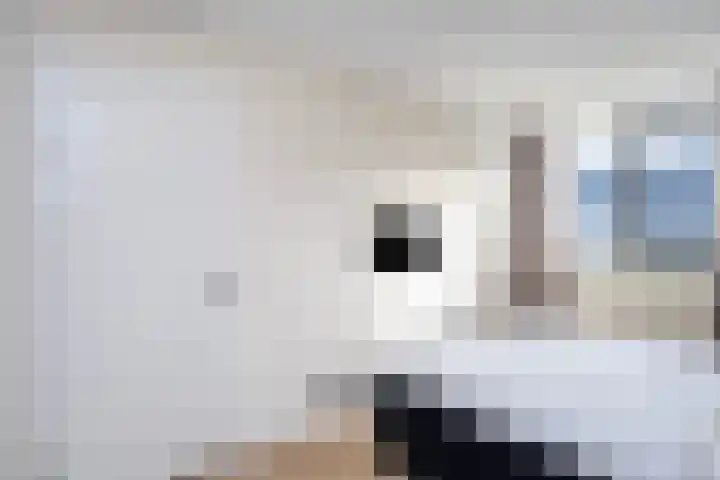 Cichoreimolen 21 Zwolle thumbnail 18