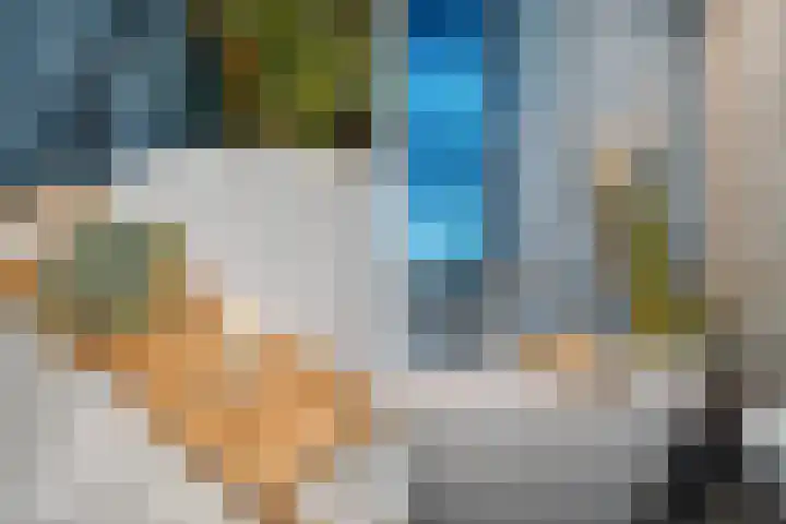 Cichoreimolen 21 Zwolle thumbnail 26