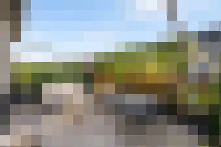 Cichoreimolen 21 Zwolle thumbnail 32