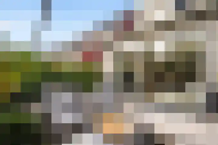Cichoreimolen 21 Zwolle thumbnail 33