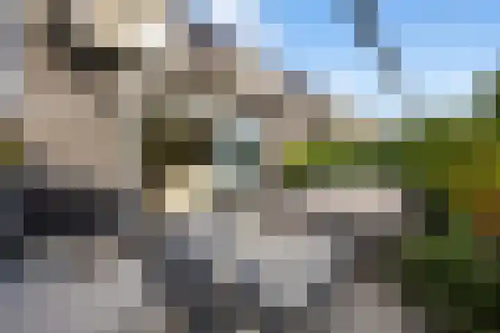 Cichoreimolen 21 Zwolle thumbnail 34