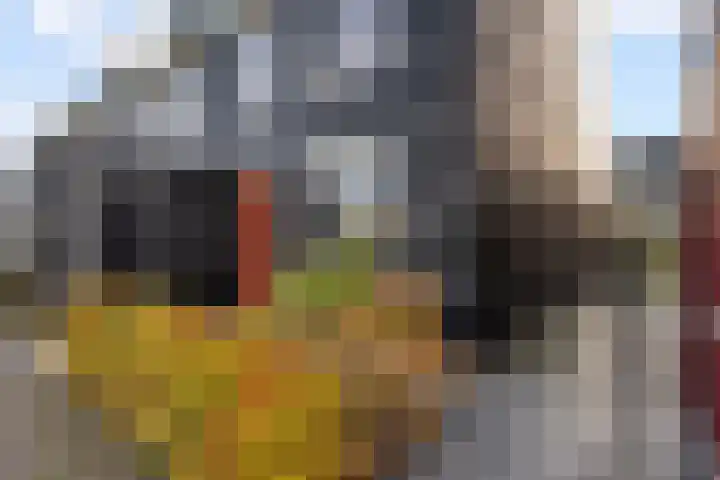 Cichoreimolen 21 Zwolle thumbnail 37