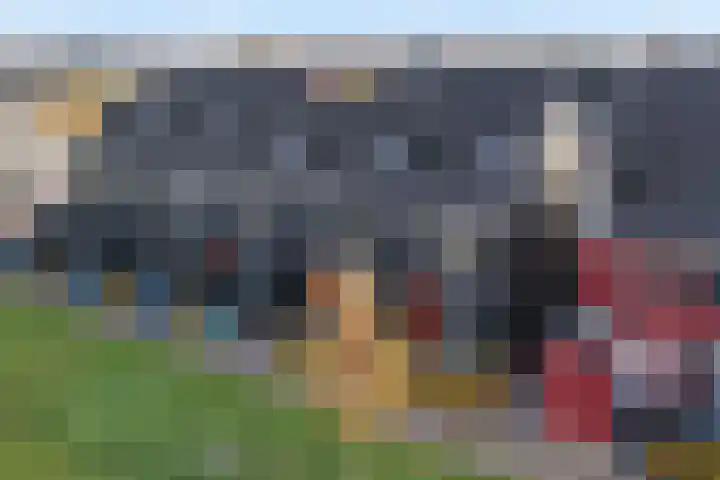 Cichoreimolen 21 Zwolle thumbnail 38
